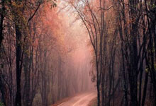 东升国际官网:罗马诺:京多安将回归曼城 加盟巴萨仅一年后解约.