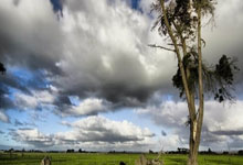 国足主帅汇报工作:人才遴选有新思路,是否坚持菱形中场是关键.