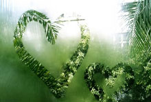 CBA季后赛首轮 广东东阳光硬撼上海久事 谁能笑到最后?.