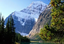 东升国际官网:约基奇大三双23+17+15 掘金终结活塞8连胜.